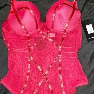 Fashion NOVA Dark Angel Teddy